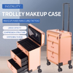 3488 Trolley Makeup Case